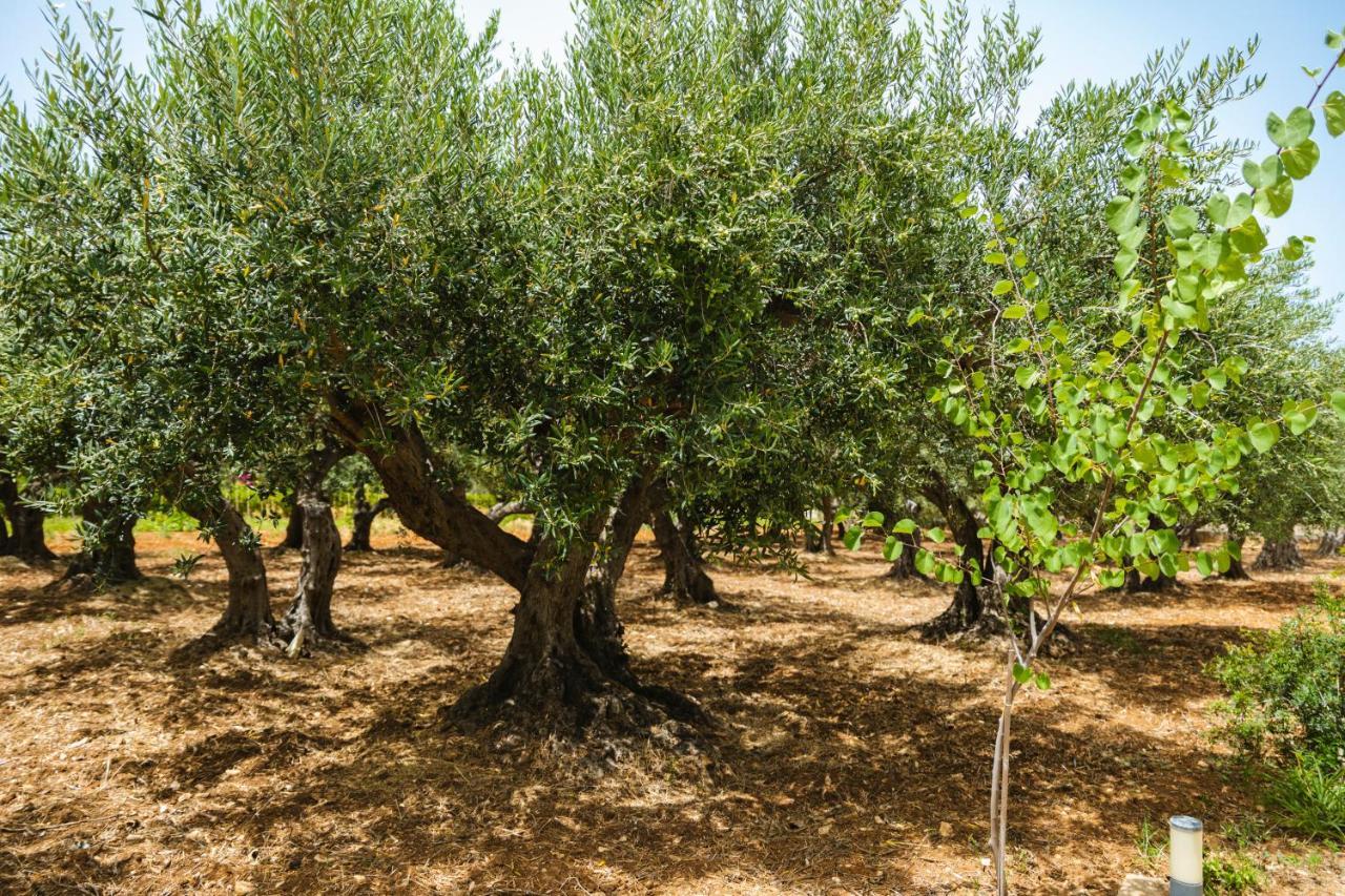 Casale La Macina Residence Scopello Скопелло Экстерьер фото